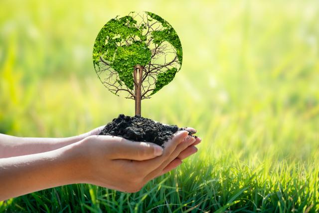 Growth stock image.png