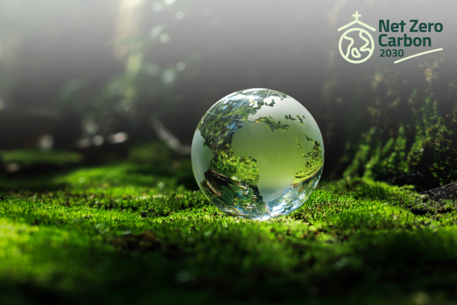 Untitled design (1).png