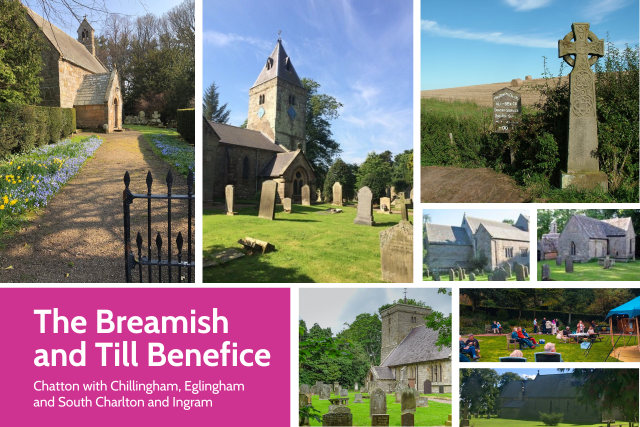 Untitled design (3).png