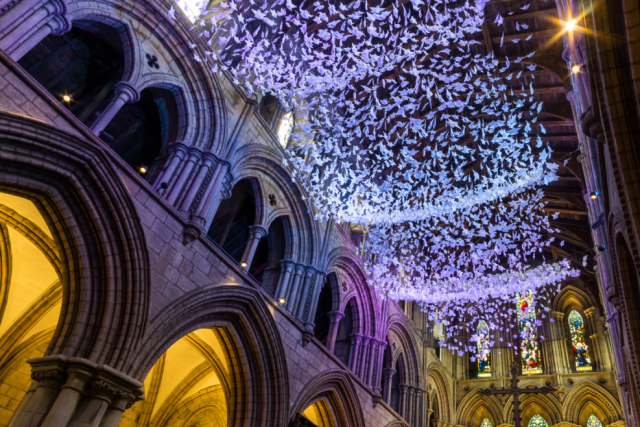 Open Hexham Abbey’s ‘On Angel Wings’ installation is a soaring success
